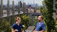 A roof garden with city skyline in the background.